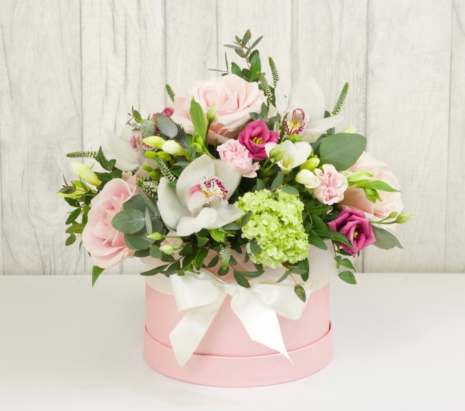 Darcy Hatbox