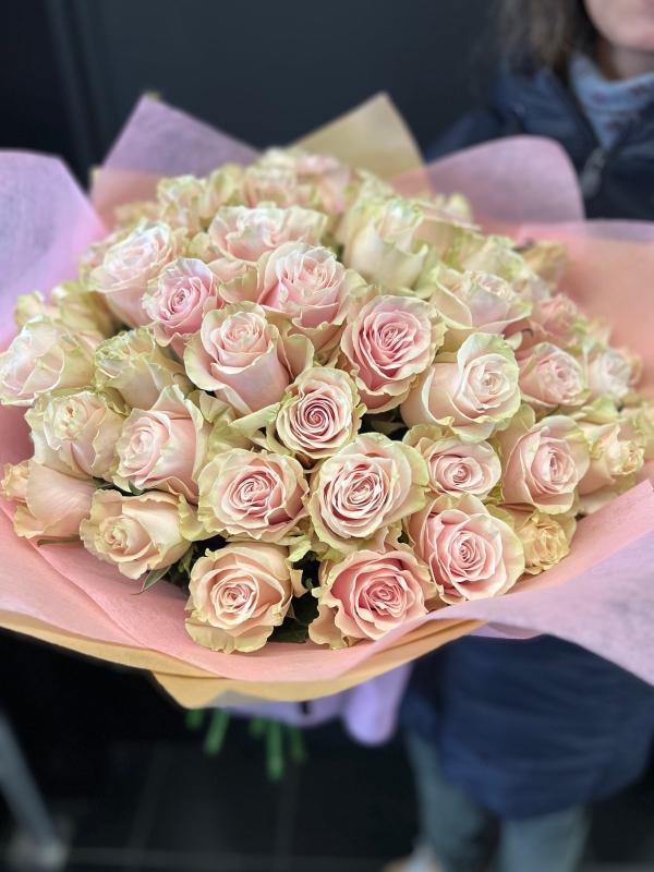 Mondial Bloom